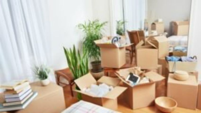 Packers and Movers Hafeezpet