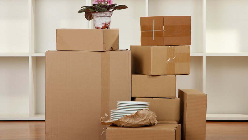 Packers and Movers Begumpet