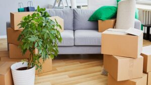 Domestic Shifting